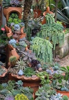 Botanicals and Banter Workshop