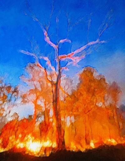 Original Art by Felicity
